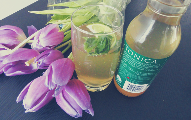 Icy-Cool Green Tea Mojito with Tonica Kombucha
