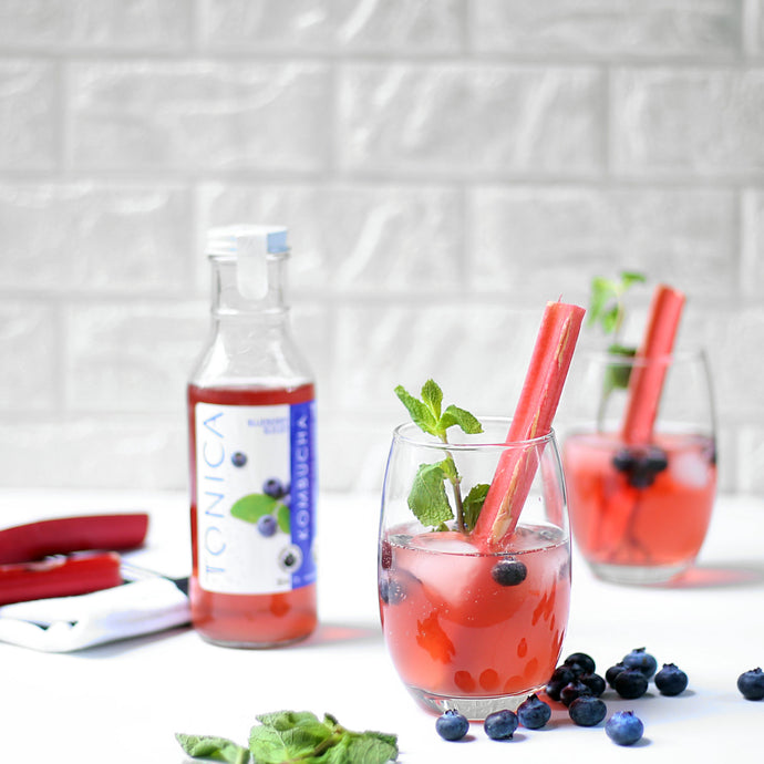 Blueberry Rhubarb Kombucha Cocktail